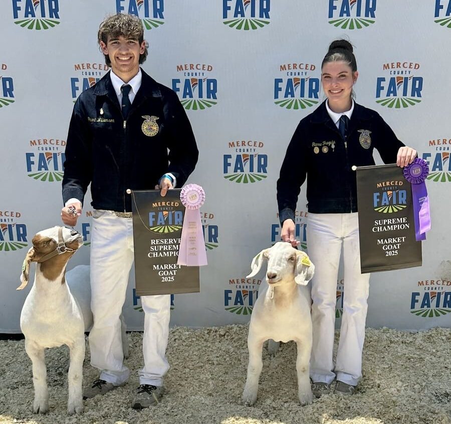 Grant and Gianna Goats Photo