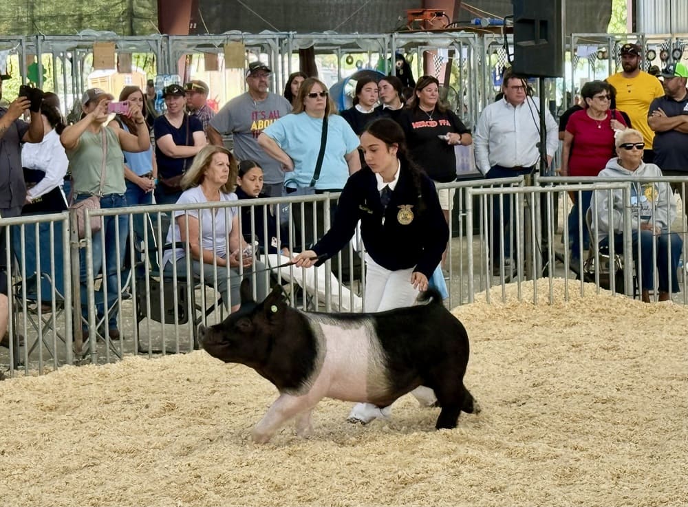 Isaberlla Silva and Pig